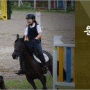 영천시운주산승마조련센터 이미지