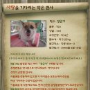 당동3 이미지