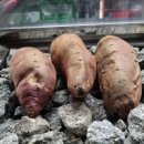 이마트24 연천미산점 이미지