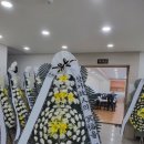 선산국화원전문장례식장
