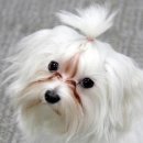 홍익약국 이미지