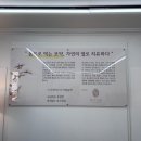 사랑드림 | [효소온 사랑드림점] 부산 대연동 디톡스효소방독소배출추천