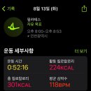 [8주차] 납작이 실물영접