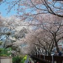 하나화원 이미지