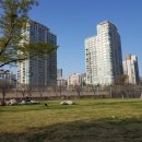 용산-이촌-198 이미지