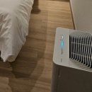 덴바스타호텔창원점 | 창원 마산 숙소 │방2 침대2 넓고 깔끔했던 덴바스타 호텔 경남대점