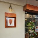 플랜티스트 이미지