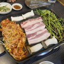 돼지냉꽃삼