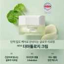 [인셀덤 더마톨로지 크림 후기] 4주 만에 탄력·주름 변화! 고밀도 리프팅을 느낀 이유