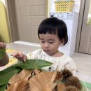 🦔밤송이 고슴도치🐰🦁 이미지