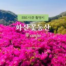 EBS 고향민국 촬영지 완주 화산꽃동산 전북 철쭉 명소