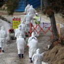 삼호농장 이미지