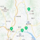 사파동171 이미지