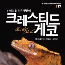 게코집