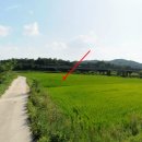 여주-0610 이미지