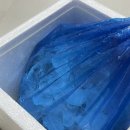 뚱띠 | [통영통수산생새우] 인스타에서 핫한 뚱띠새우 내돈내산 후기