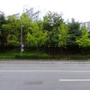 광운중학교 | 토익 고사장 후기, 광운중학교