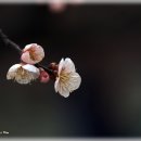 김*영 이미지
