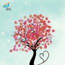 부산 CBS Daum카페