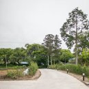 오로지애월 | 제주 역대급 풀빌라 오로지애월 상세후기 (57py 공간소개)