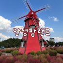 꼬꼬팜 | 경기 안성팜랜드 티켓할인꿀팁 주차 대표포토존 주말퍼레이드후기