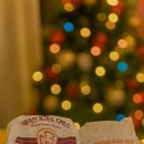 🍔 맥도날드 베이컨토마토디럭스 / 쿼터파운더치즈내돈내산 솔직 먹어본 후기