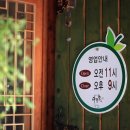 다믈촌 이미지