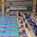 6-222 TS | [공지] 2024 대전광역시장기 마스터즈 수영대회 후기 | 아드레날린이란 것이 폭발한다,,