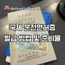 영문 | 일본 국제운전면허증 발급방법 준비물 경찰서 발급 후기 영문면허증 차이