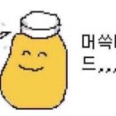 서락사진관
