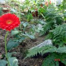 충남 아산 세계 꽃 식물원 이미지
