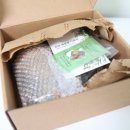 강아지세상 고양이세상 | 강아지디퓨저 고민 끝! 고양이도 안전한 디퓨리 테라리움 디퓨저 후기