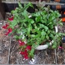 보성헤어 이미지