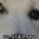 육회홀릭