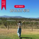 밸리 | 멜버른 와이너리 투어 야라밸리 미식여행 후기