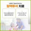 서해사랑 이미지