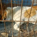 신덕평로 이미지