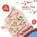 (3월 꽃바람 벙개) 산수유축제/매화축제 벙개 합니다.(1박2일) 이미지