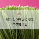 더이로운 Daum카페