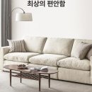 이케아소파 쇠데르함으로 꾸민 거실