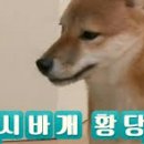 책바라지 이미지