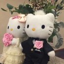 마이올 | 깔끔+느좋+빈티지 아이폰스냅 [비마이올스냅] 계약 후기~..📸🖤