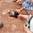 춘삼농장 | 김포곤충농장 만지고 보고 느껴보자