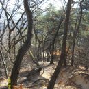 고금8호 Daum카페