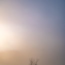 남하대야리 이미지