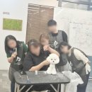 (주)태정 | 송파애견미용학원 추천 실습받고 바로 취업한 사람의 후기