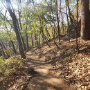 산수회 산행 안내 - 2024. 2. 12(월) 10시 대공원 산림욕장길 (경기 과천) 이미지