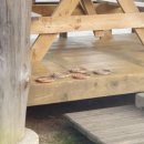 정선뜰펜션2 이미지