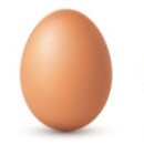 Wellness Gym 이미지