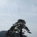 제2차답사 (2016.04.06 충북 보은, 괴산 2) 이미지